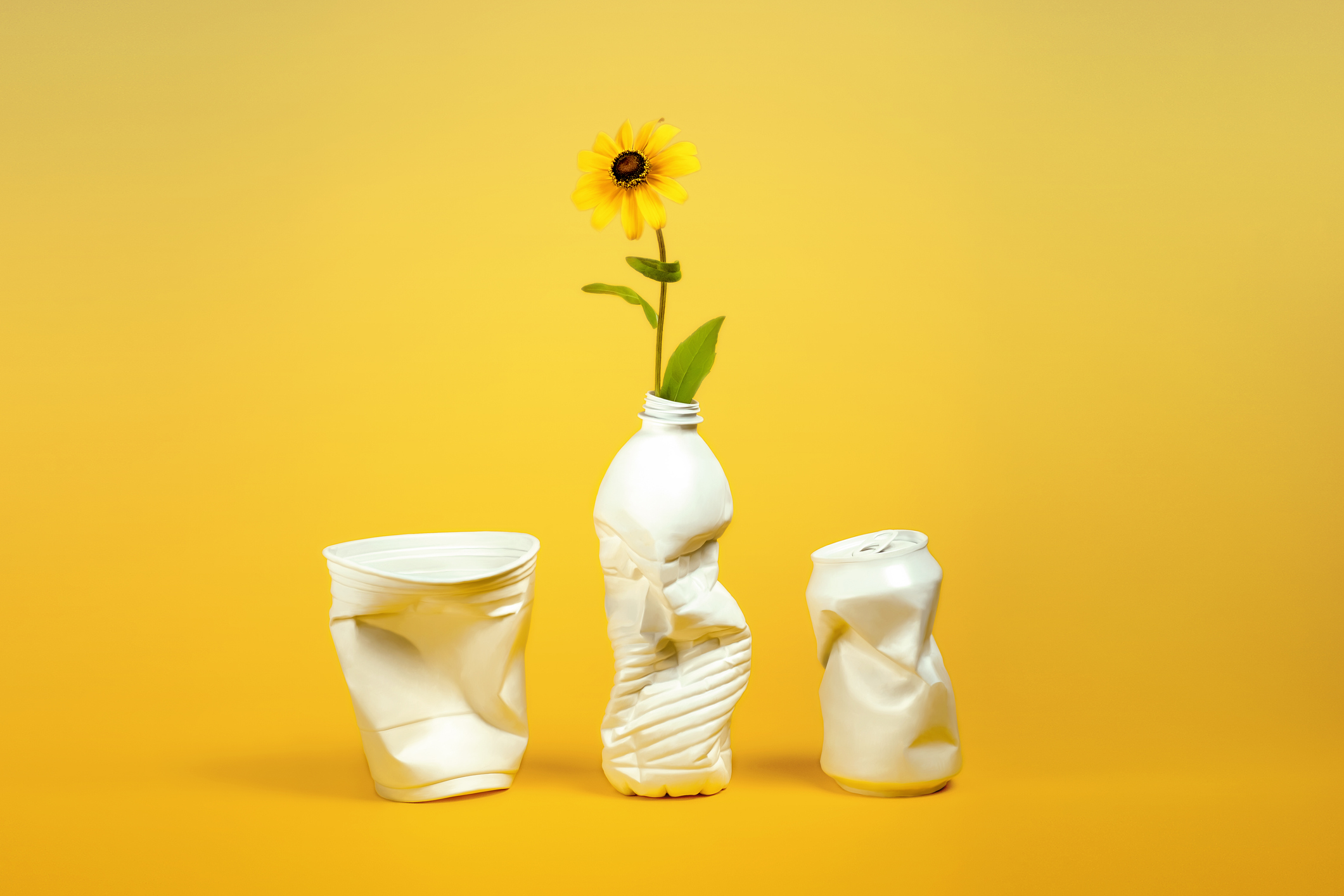 A New Paradigm for Plastic: MacroCycle’s Innovative Recycling Process Targets Virgin Material Parity