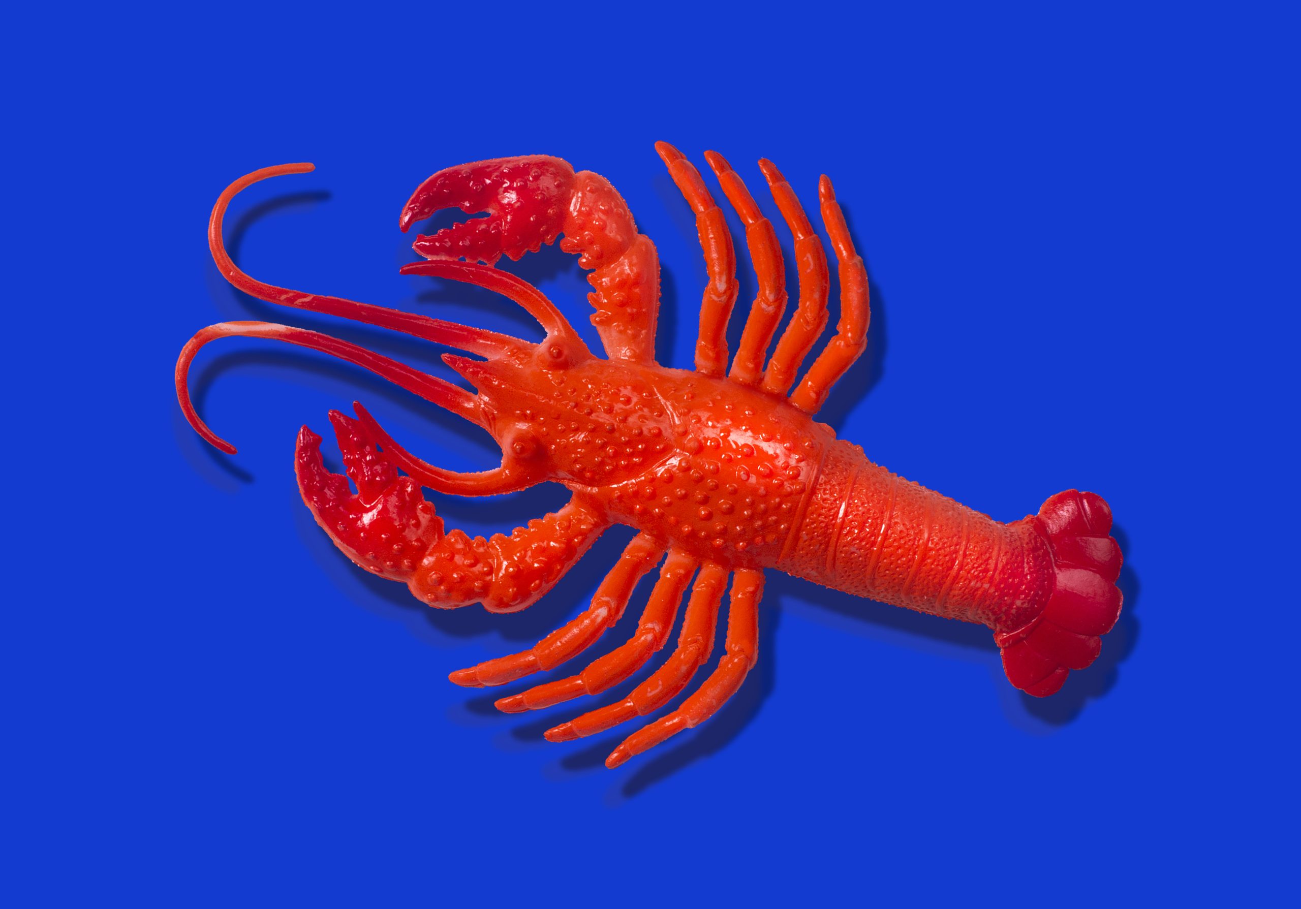 Autonomous AI Agents Forge New Digital Frontier with Self-Organizing Social Network