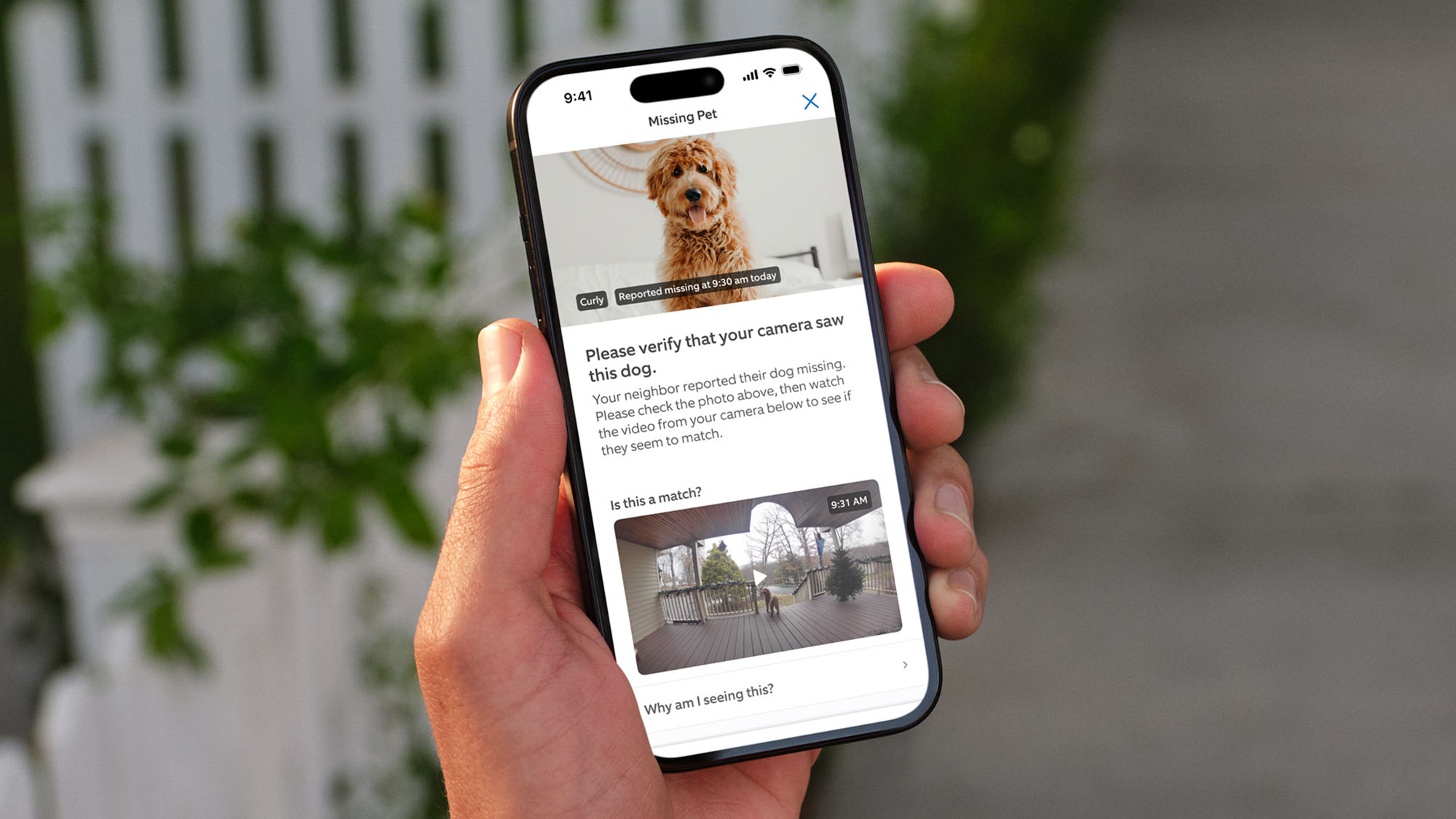 Broadening the Search: Ring’s AI-Driven Pet Recovery Feature Opens to Non-Camera Owners Nationwide