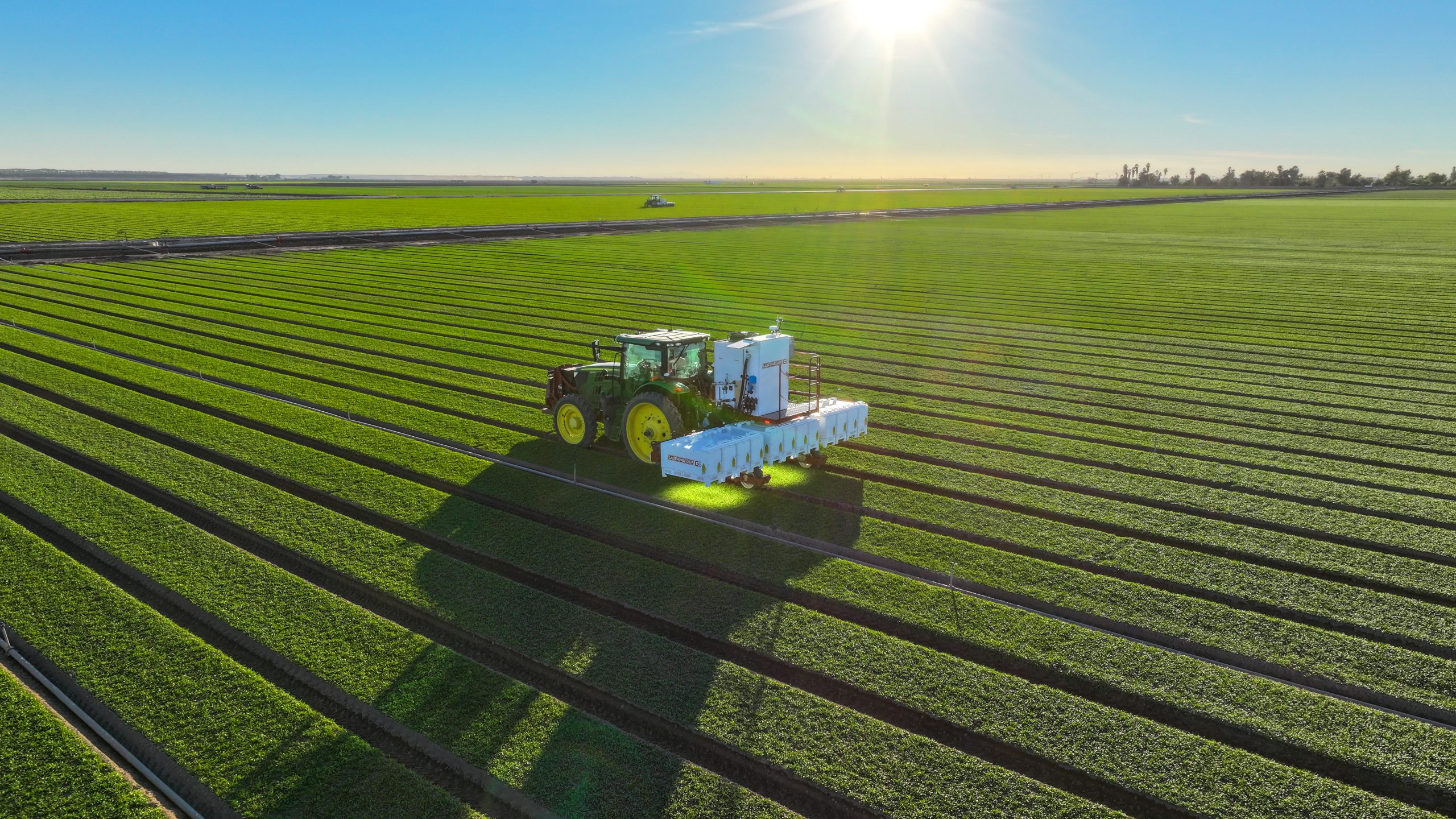 Precision Agriculture’s Next Leap: New AI System Grants Farm Robots Instant Botanical Intelligence