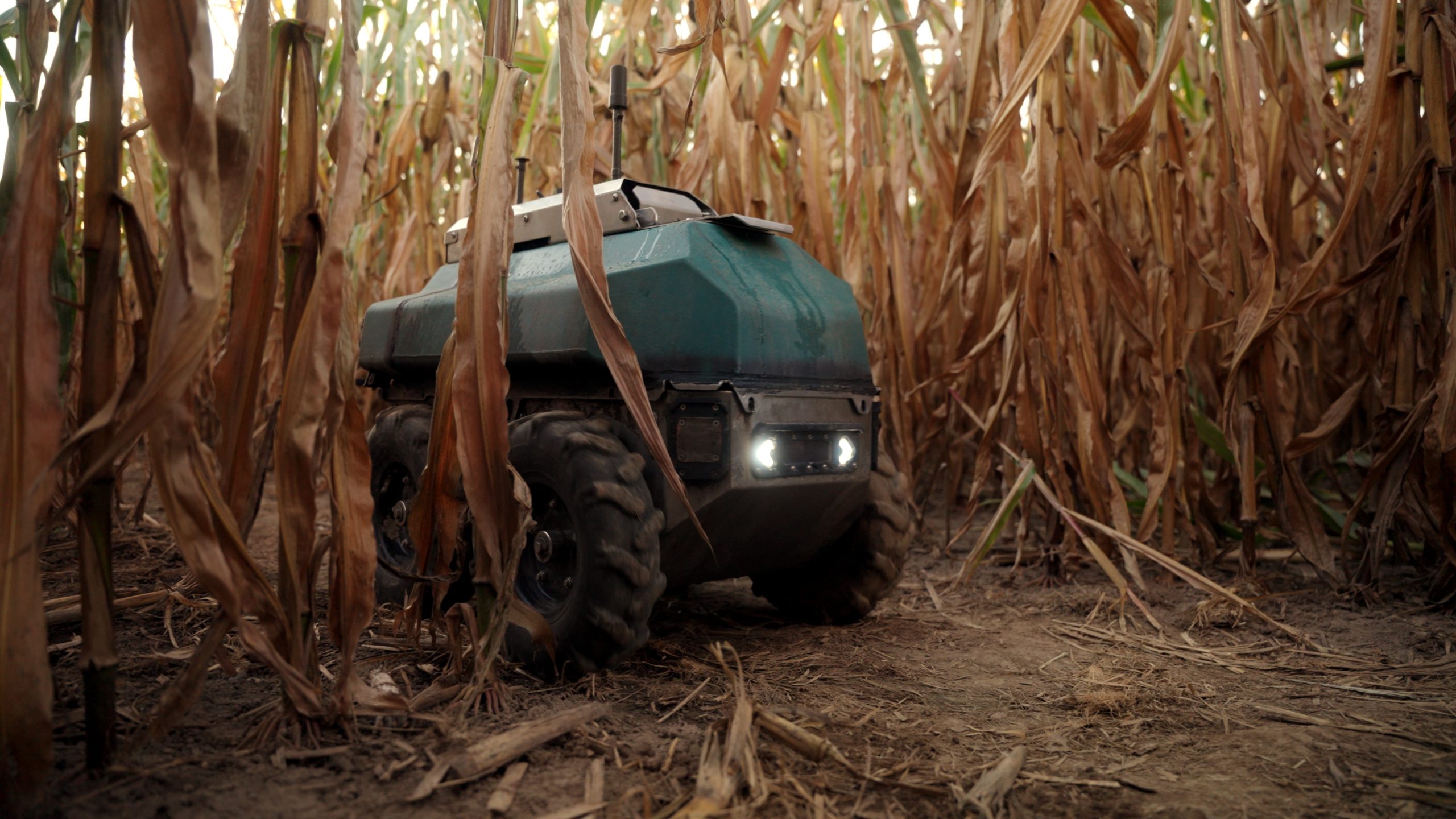 Robotic Innovation Promises Sustainable Revolution for Corn Cultivation