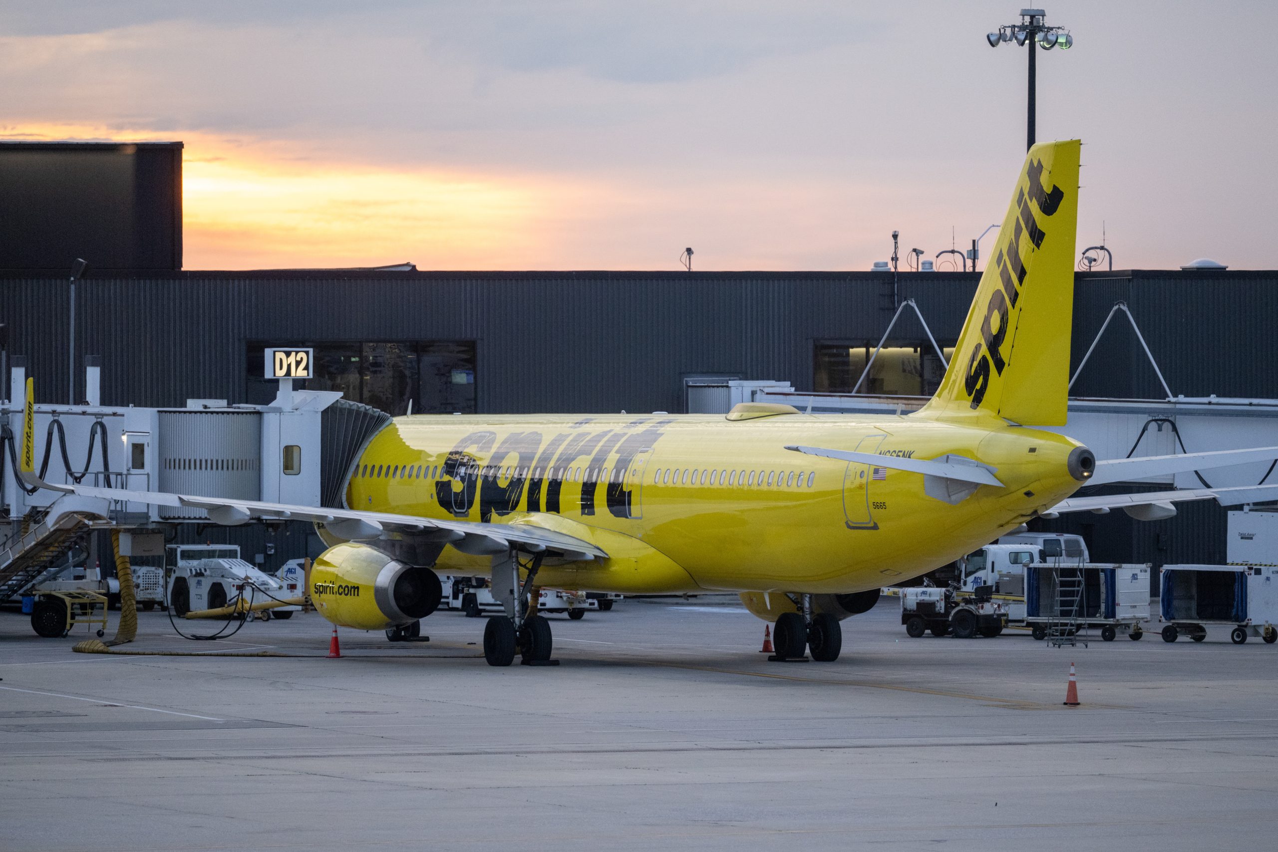 From Grounded Flights to Grassroots Takeover: TikToker Rallies Public to Fund Spirit Airlines Revival